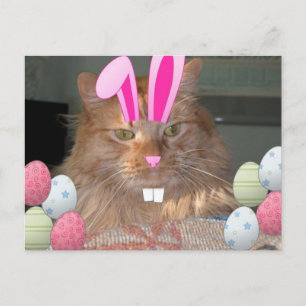 Cartão Postal De Festividades Gato de Gato de Gato de Gato de páscoa Laranja