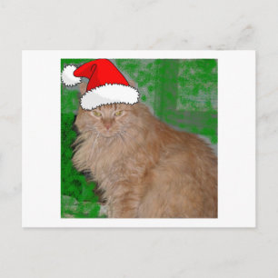 Cartão Postal De Festividades Gato de Gato de Gato de Tabby de Laranja Natal