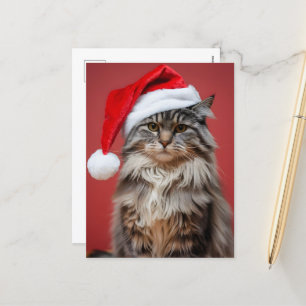 Cartão Postal De Festividades Gato de Maine Coon Festivo no Natal