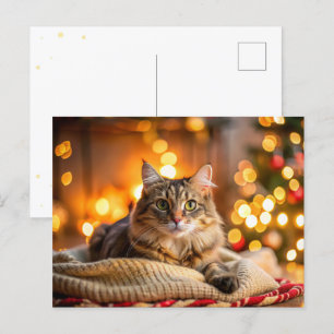 Cartão Postal De Festividades Gato de Natal bonito