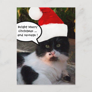 CARTÃO POSTAL DE FESTIVIDADES GATO DE NATAL BRANCO PRETO COM CHAPÉU SANTA CLAUS
