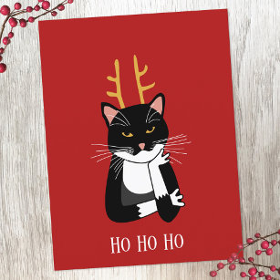 Cartão Postal De Festividades Gato de Natal Sarcástico engraçado