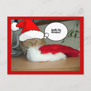 Cartão Postal De Festividades Gato de Tabby Laranja Natal