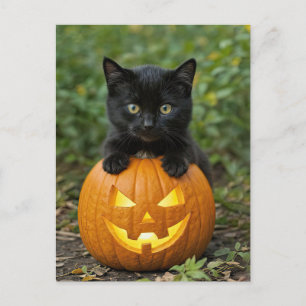 Cartão Postal De Festividades Gato e Jack O Lanterna do Halloween