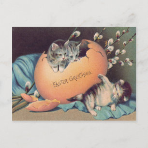 Cartão Postal De Festividades Gato Filhote de Páscoa Ovo Colorido Algodão