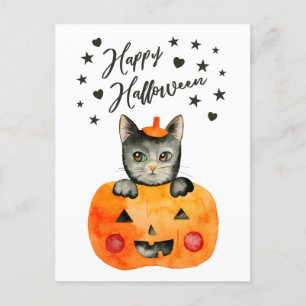 Cartão Postal De Festividades Gato Negro Halloween em Jack O' Lanterna
