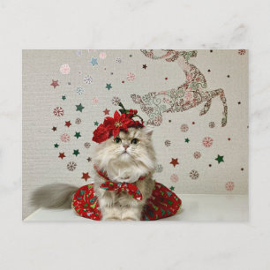 Cartão Postal De Festividades Gato Persa de Natal Bonito