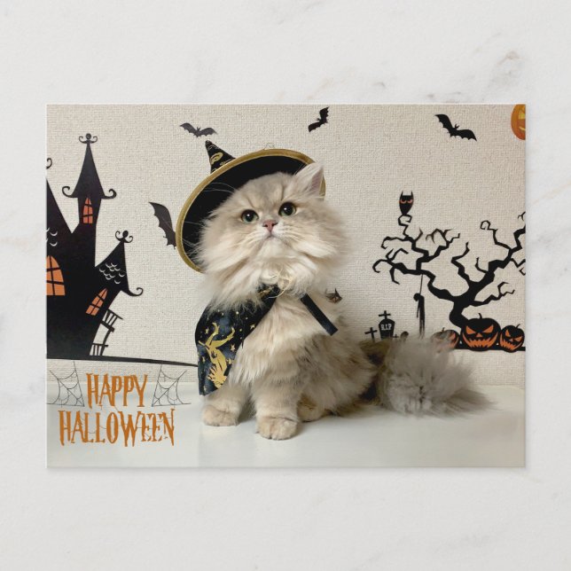 Cartão Postal De Festividades Gato Pérsico Bonito no Figurino do Halloween (Frente)