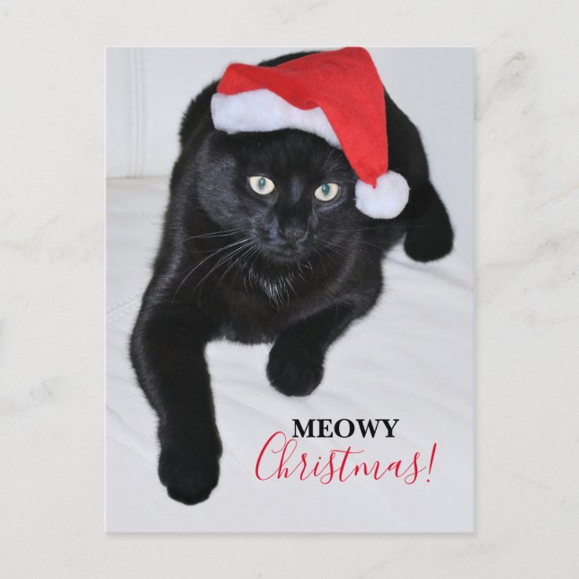 Cartão Postal De Festividades Gato preto com o chapéu vermelho do papai noel (Frente)