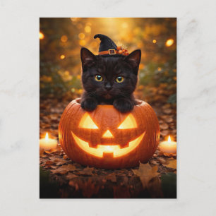 Cartão Postal De Festividades Gato Preto de Halloween Fofo e Jack O Lantern