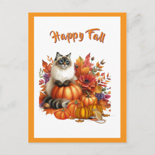 Cartão Postal De Festividades Gato Ragdoll e Abóboras Feliz Outono