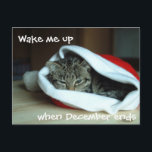 Cartão Postal De Festividades Gato Sonolento em Santa Hat<br><div class="desc">O gatinho cansado e rabugento está farto de festividades e barulhentas e quer dormir através de tudo.</div>