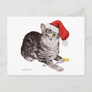 Cartão Postal De Festividades Gato Tabby American Shorthair - Natal