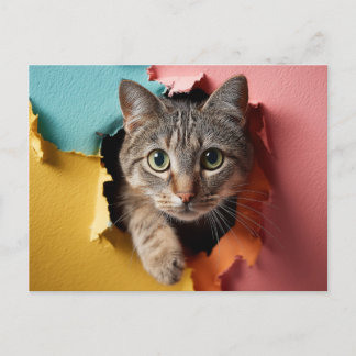 Cartão Postal De Festividades Gato Tabby Jovial Espiando Através de Papel Rasgad