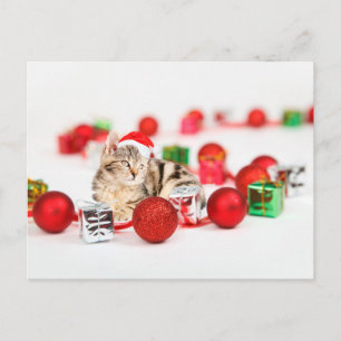 Cartão Postal De Festividades Gato vestindo Enfeites de natal de chapéu vermelho
