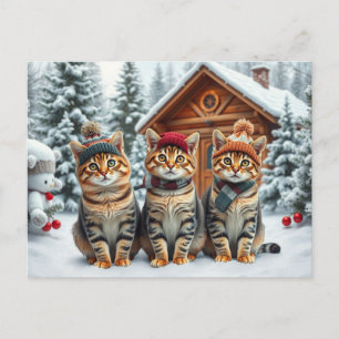 Cartão Postal De Festividades Gatos Listrados com Roupas de Inverno Elegantes e