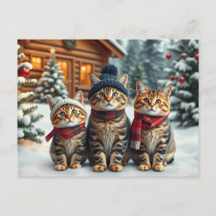 Cartão Postal De Festividades Gatos Listrados com Roupas de Inverno Elegantes e 