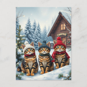 Cartão Postal De Festividades Gatos Listrados com Roupas de Inverno Elegantes e
