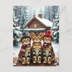 Cartão Postal De Festividades Gatos Listrados em Roupas de Inverno Elegantes e C