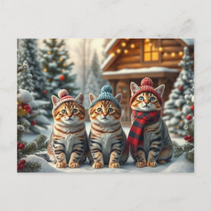 Cartão Postal De Festividades Gatos Listrados em Roupas de Inverno Elegantes e C