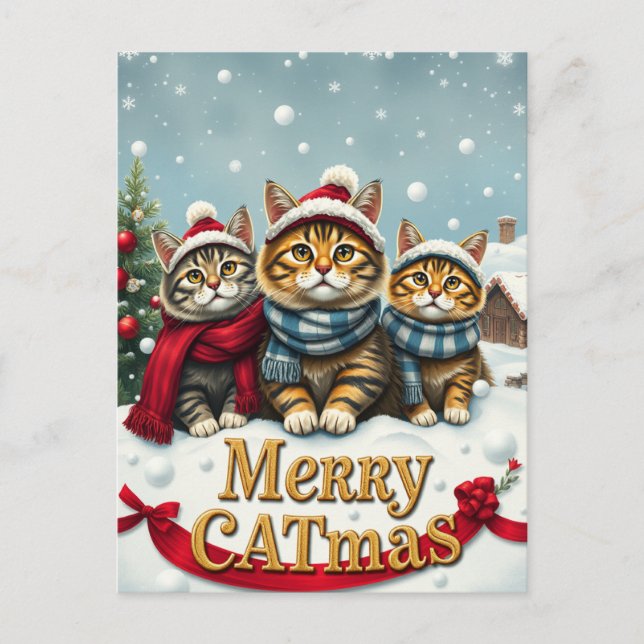 Cartão Postal De Festividades Gatos no Natal de Papoilas e Chapéus (Frente)
