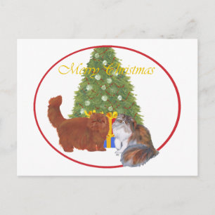 Cartão Postal De Festividades Gatos Persas Vermelhos e Calico Natal
