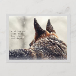 Cartão Postal De Festividades German shepherd de Férias