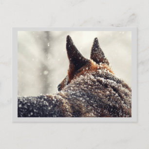 Cartão Postal De Festividades German shepherd do feriado
