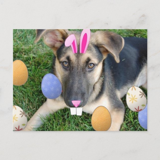 Cartão Postal De Festividades German shepherd Páscoa Puppy (Frente)