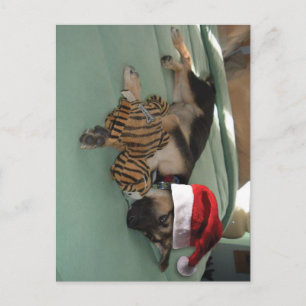 Cartão Postal De Festividades German shepherd Pup com Santa Hat