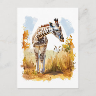Cartão Postal De Festividades Girafa em Tall Grass