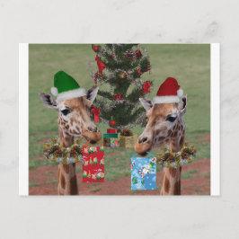 Cartão Postal De Festividades Girafas do Natal