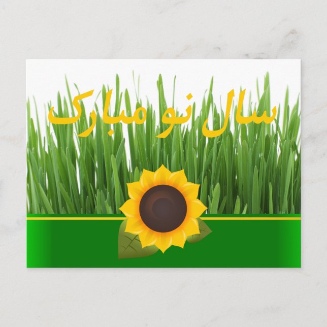 Cartão Postal De Festividades Girassol Sabzeh Verde Ano Novo Persa Nowruz (Frente)