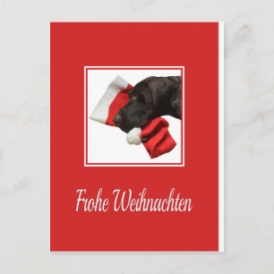 Cartão Postal De Festividades Glossy Grizzly Christmas Frohe Weihnachten