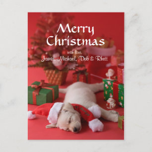 Cartão Postal De Festividades Golden Retriever Puppy and Christmas 2