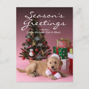 Cartão Postal De Festividades Golden Retriever Puppy and Christmas 3