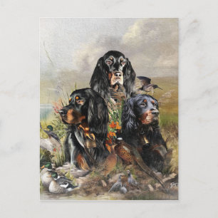 Cartão Postal De Festividades Gordon Setters , Paixão por Aves , Arte