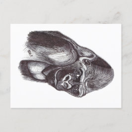 CARTÃO POSTAL DE FESTIVIDADES GORILA