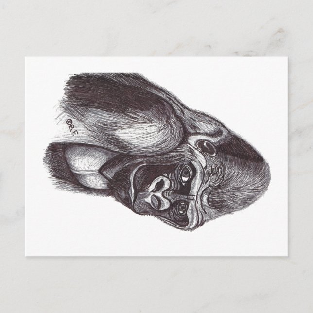 CARTÃO POSTAL DE FESTIVIDADES GORILA (Frente)