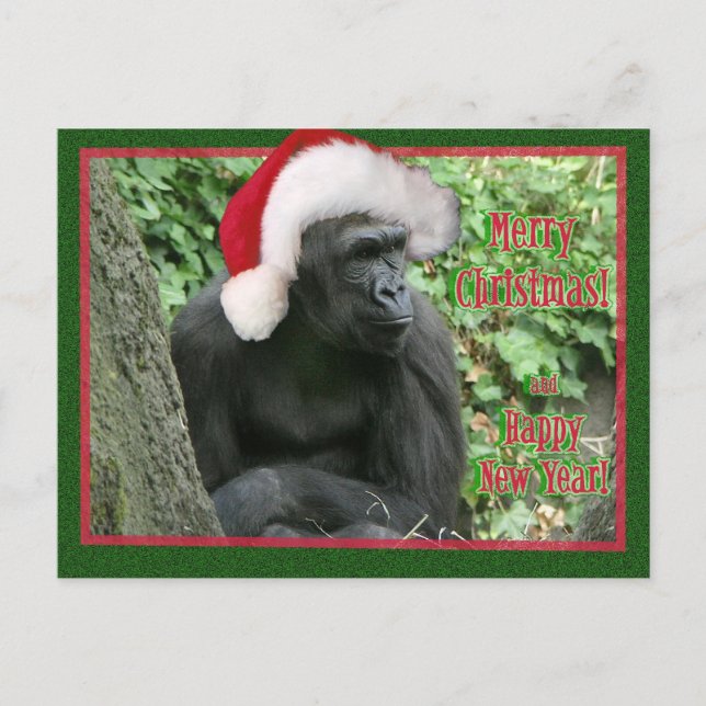 Cartão Postal De Festividades Gorilla Natal (Frente)