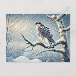 Cartão Postal De Festividades Goshawk em Birch no inverno