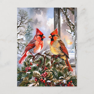 Cartão Postal De Festividades Gráfico de inverno dos Cardinais Vermelhos de Nata