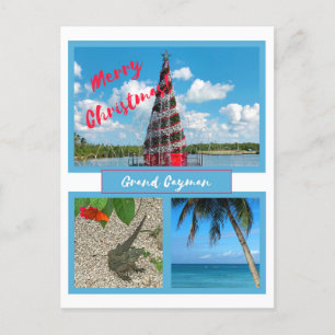 Cartão Postal De Festividades Grand Cayman Natal