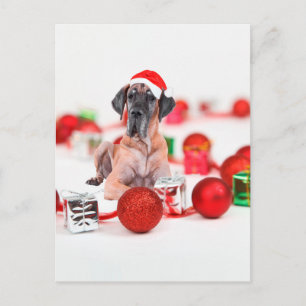 Cartão Postal De Festividades Grande Cachorro Danado com presentes de Enfeites d
