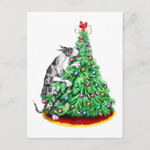 Cartão Postal De Festividades Grande Dia de Alcance de Natal Merece