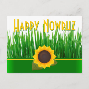 Cartão Postal De Festividades Green Sabzeh Sunflower Iraniano Novo Nowruz