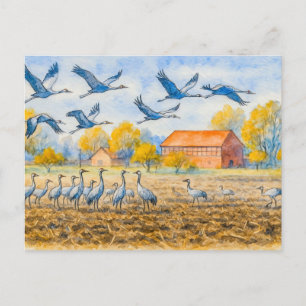 Cartão Postal De Festividades Grua no campo rhinow aquarell havelland