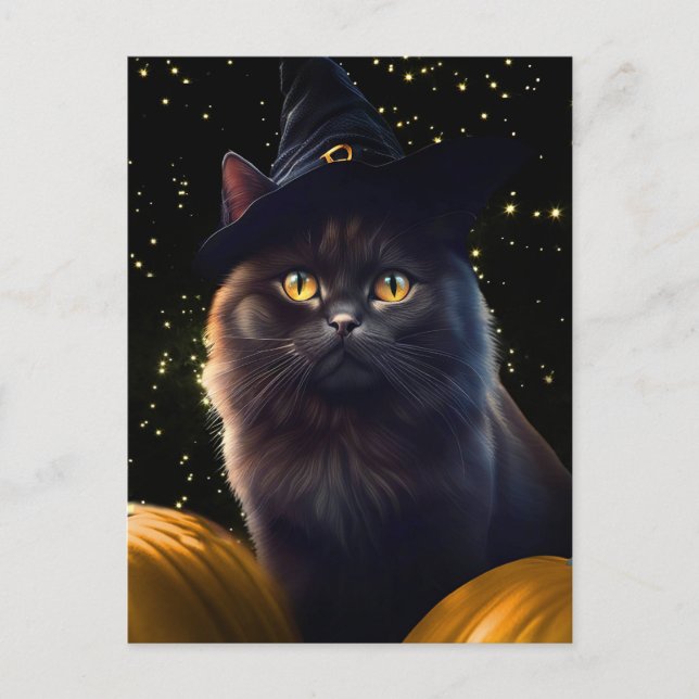 Cartão Postal De Festividades Halloween Black Cat Witch Hat E Pumpkins (Frente)
