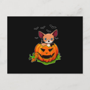 Cartão Postal De Festividades Halloween Chihuahua Dog Amantes Pumpkin Grunge Jac