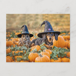 Cartão Postal De Festividades Halloween Dachshund e Owl Funny
